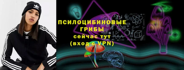 стаф Верхний Тагил