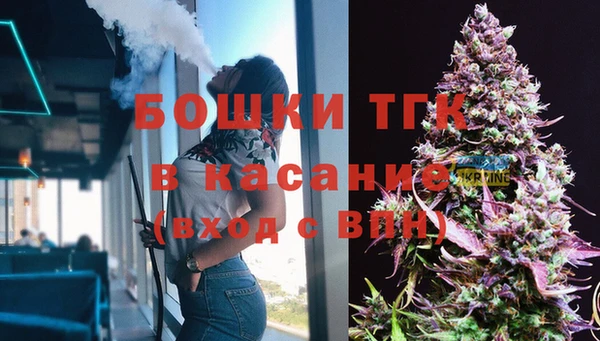 стаф Верхний Тагил