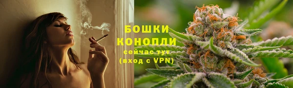 стаф Верхний Тагил