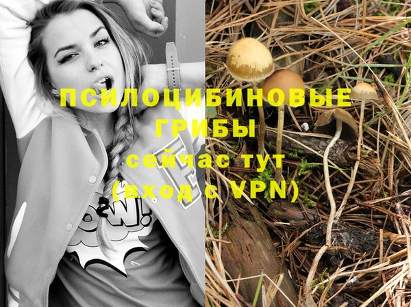 mix Верея